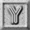 Y